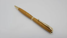 Ballpoint pen in Mulberry from Saltram House Plymouth DevonPens